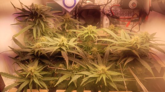 2025-05-11 141107.jpg 2025-05-11 141107.jpg