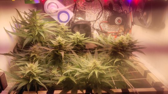 2025-05-15 094037.jpg 2025-05-15 094037.jpg