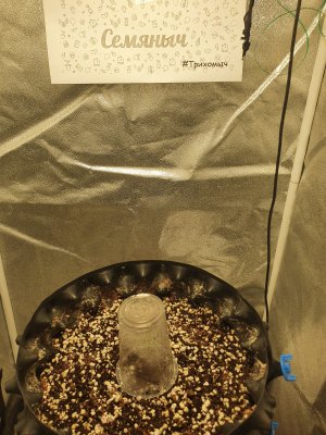 20250523_204836.jpg 20250523_204836.jpg