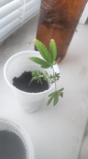 P50529-065540 (1).jpg