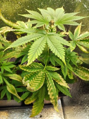 photo_2025-06-01 10.54.05.jpeg