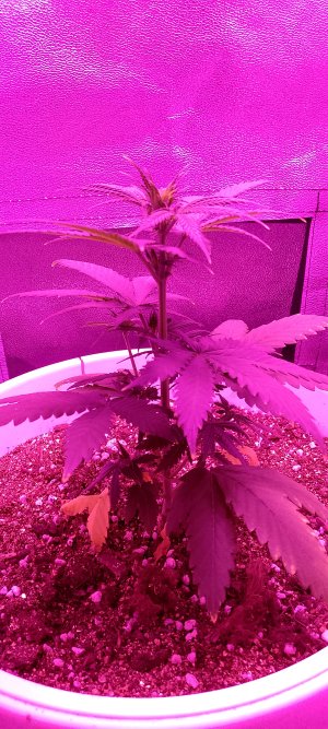 1000003863.jpg 1000003863.jpg