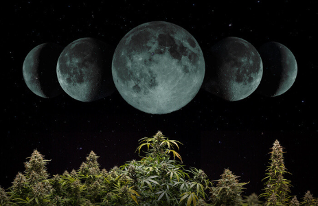 1749801153528.png 1749801153528.png