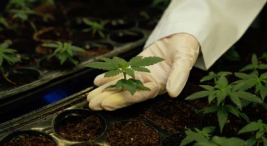 1749801299213.png 1749801299213.png