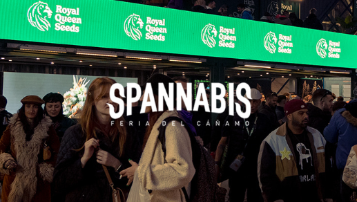 1750161144720.png 1750161144720.png