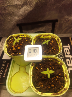 20250612_112730 12.png