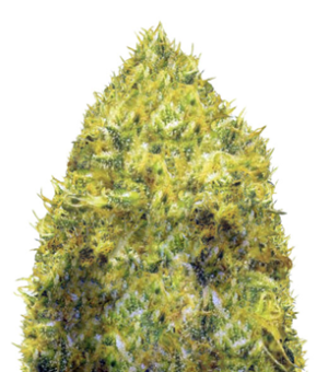 1750239640523.png 1750239640523.png