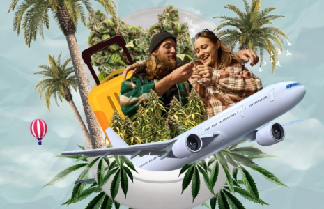 1750239702881.png 1750239702881.png