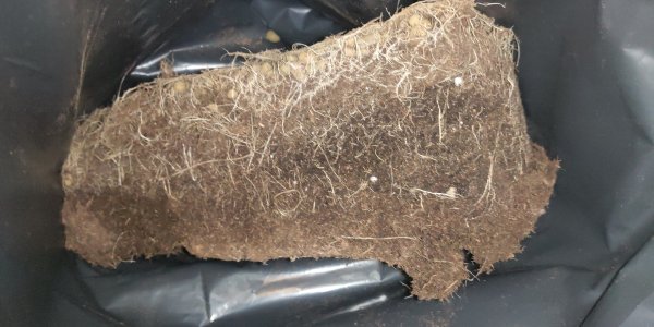 P50618-230005 (1).jpg