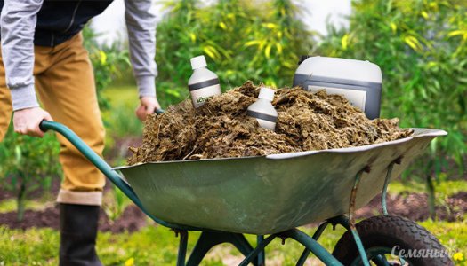 obzor-organicheskih-udobreniy-dlya-vyrashchivaniya-kannabisa__waCWyaMNQs1l7eOw.jpg obzor-organicheskih-udobreniy-dlya-vyrashchivaniya-kannabisa__waCWyaMNQs1l7eOw.jpg