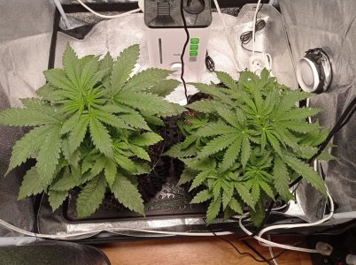 АК и КК 12.07.jpg