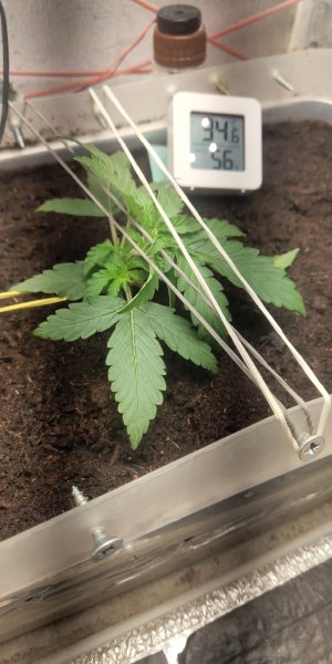 P50713-172448 (1).jpg