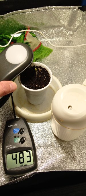 IMG_20250716_130027_509.jpg IMG_20250716_130027_509.jpg