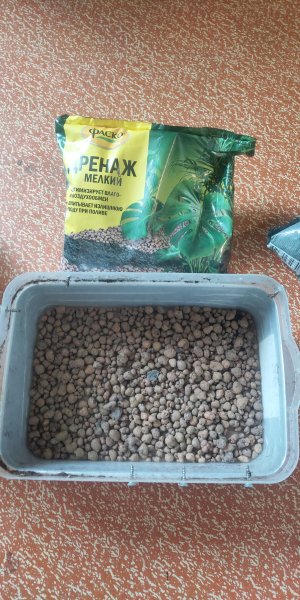 P50625-194616 (1).jpg