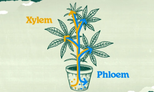 1753195663103.png 1753195663103.png