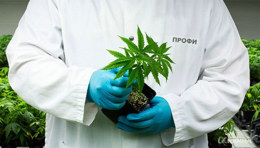 kak-povysit-groverskiy-professionalizm__xSGhy5gpNeVLwUDv.jpg kak-povysit-groverskiy-professionalizm__xSGhy5gpNeVLwUDv.jpg