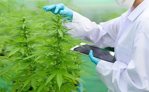 nachnite-vesti-dnevnik-vyrashchivaniya__7GSIrwnQuHvEGJ1D.jpg nachnite-vesti-dnevnik-vyrashchivaniya__7GSIrwnQuHvEGJ1D.jpg