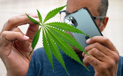 stante-kanna-blogerom__WDmGXyZxEmrOX2Q6.jpg stante-kanna-blogerom__WDmGXyZxEmrOX2Q6.jpg