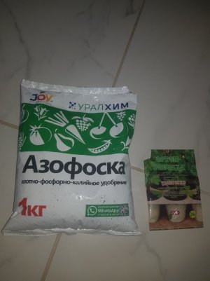 20220424_143403_optimized.jpg 20220424_143403_optimized.jpg