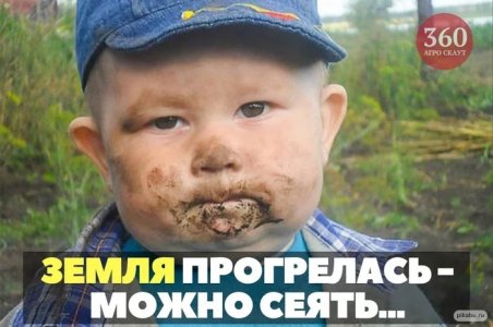 Без названия (9).jpeg