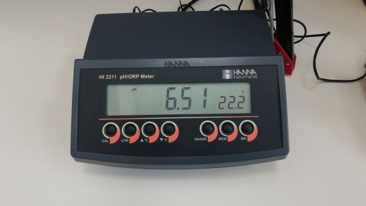 photo_2022-05-01 00.21.06.jpeg