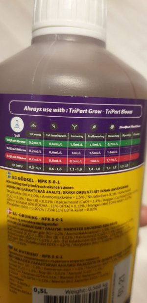 photo_2022-05-01 02.11.01.jpeg