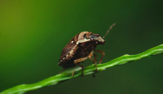 1651512858581.png 1651512858581.png