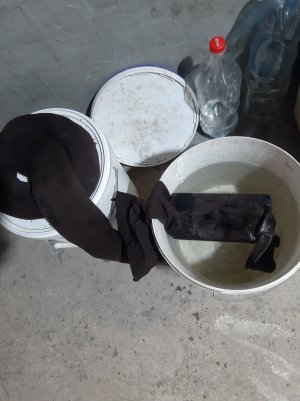 20220505_100050.jpg 20220505_100050.jpg