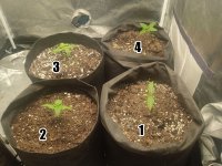 photo_2025-08-16_18-00-44 copy.jpg