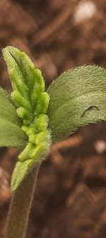 20250819_110736.jpg 20250819_110736.jpg