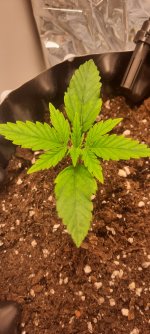 20250826_165457.jpg 20250826_165457.jpg