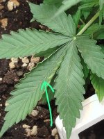 Изображение WhatsApp 2025-08-27 в 19.52.49_4cdd88c3.jpg