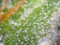 Photo_2025-09-02 17_40_51_014.JPG