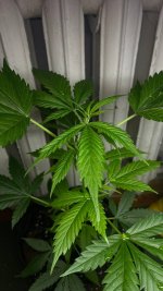 photo_2025-09-03 22.59.59.jpeg