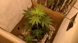 Снимок экрана 2025-09-10 154113.png