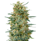 1757926214007.png 1757926214007.png