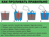 1758623880918.png 1758623880918.png