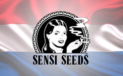 sensi-seeds__35uPrx69Gk11HQVa.jpg
