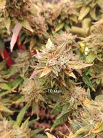 IMG_20250926_233914.jpg IMG_20250926_233914.jpg