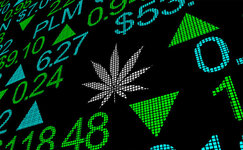 stonks.jpg stonks.jpg