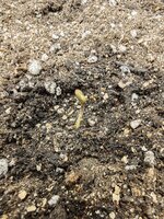 IMG_20251009_120511.jpg IMG_20251009_120511.jpg