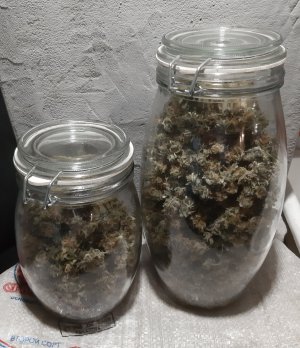 20220508_073026.jpg 20220508_073026.jpg