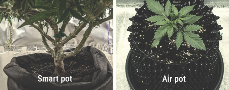 1652203913011.png 1652203913011.png