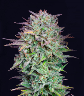 1652453811710.png 1652453811710.png