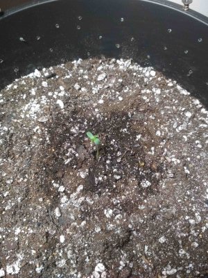 IMG_20220504_232610.jpg IMG_20220504_232610.jpg