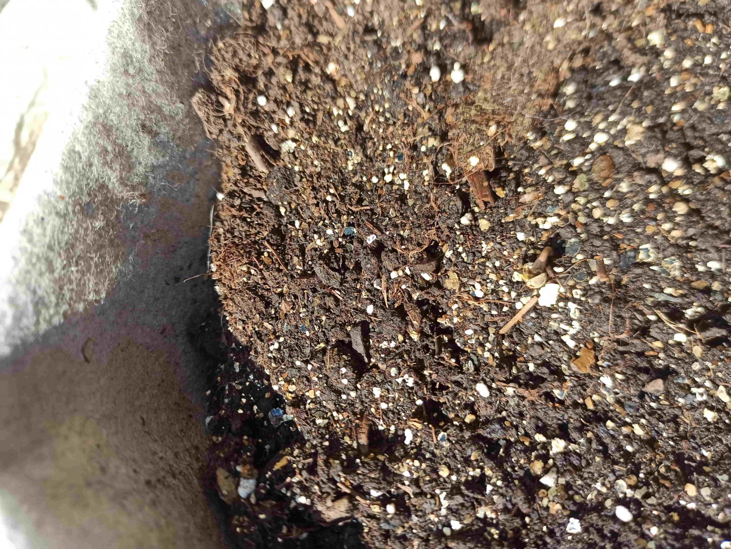 IMG_20220513_094535 (1).jpg IMG_20220513_094535 (1).jpg