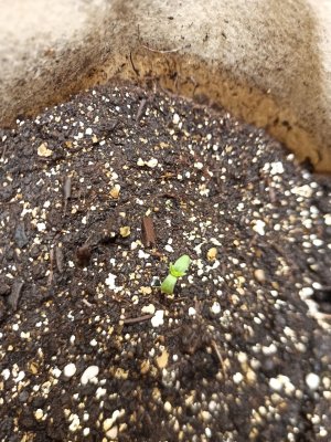 photo_2022-05-14_22-55-51.jpg photo_2022-05-14_22-55-51.jpg