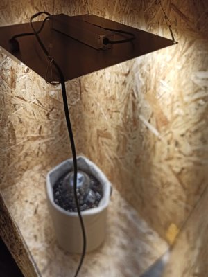 photo_2022-05-14_22-56-08.jpg photo_2022-05-14_22-56-08.jpg