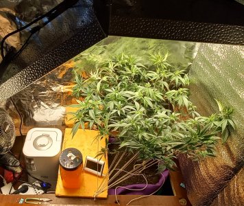 20220514_125014.jpg 20220514_125014.jpg