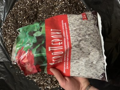 47E69250-ACD2-461C-88DA-DBB9E159DF69.jpeg 47E69250-ACD2-461C-88DA-DBB9E159DF69.jpeg